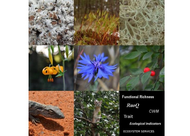 Hands on Functional Diversity:  from Ecological Indicators to Ecosystem Services 2020-2021